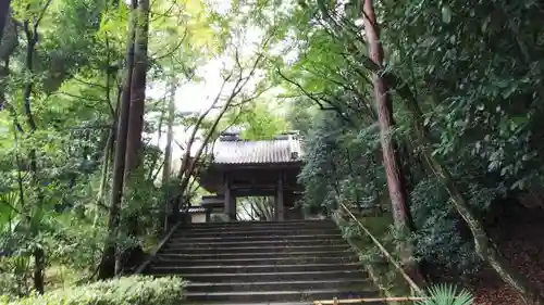 龍潭寺の山門・神門
