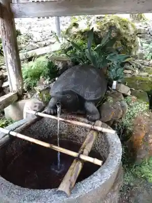 松尾大社(京都府)