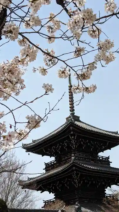 真正極楽寺(真如堂)(京都府)