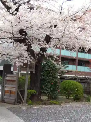 護国院(東京都)