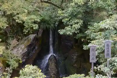 鹿苑寺(金閣寺)(京都府)