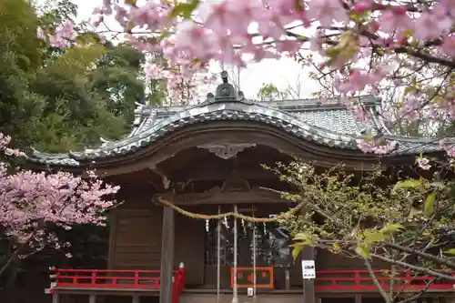 吾妻神社の本殿・本堂