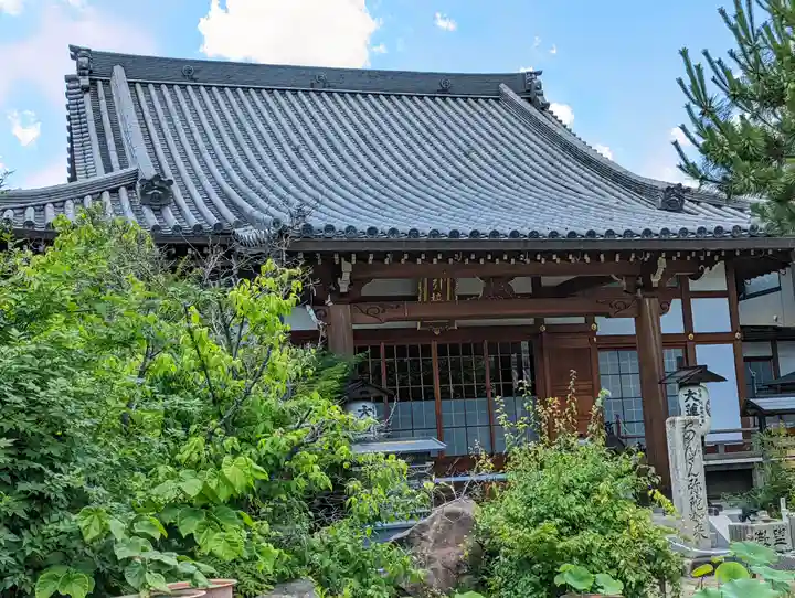 大蓮寺(京都府)