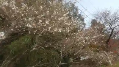 星の宮神社(愛知県)