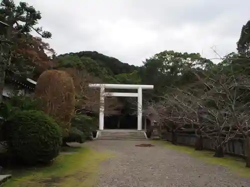 安房神社の鳥居