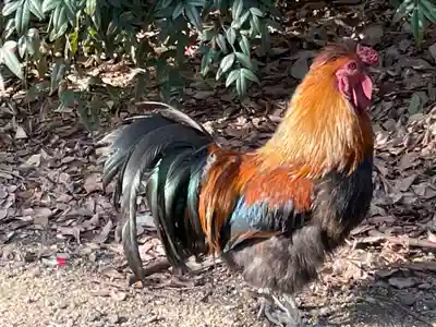助松神社(大阪府)