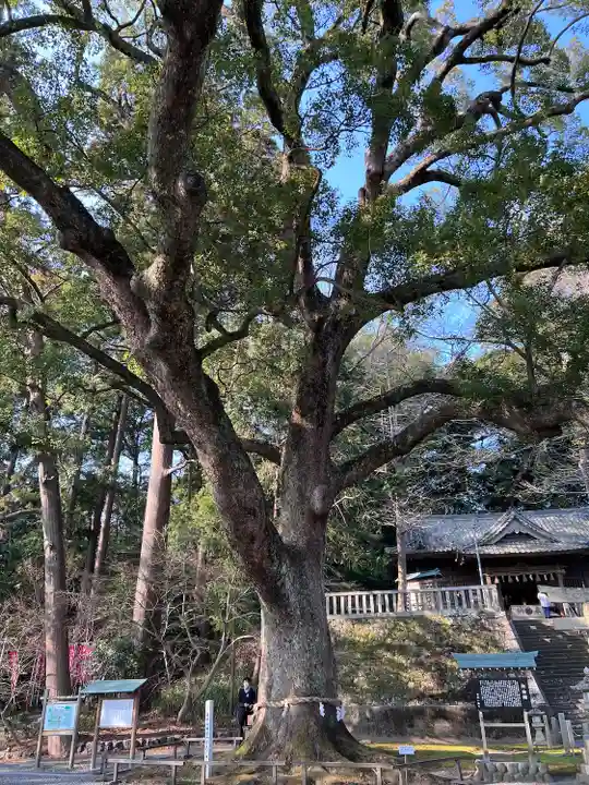 事任八幡宮(静岡県)