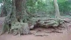 近津神社の自然