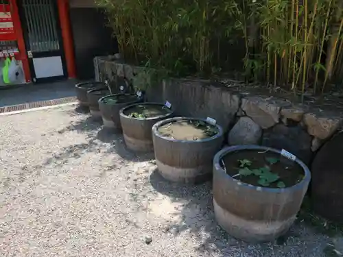 生田神社の自然