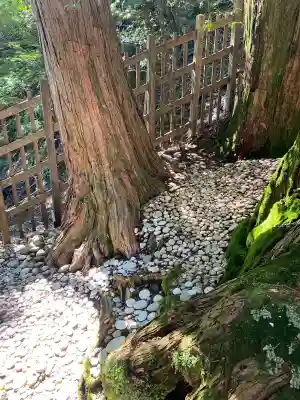 玉置神社(奈良県)