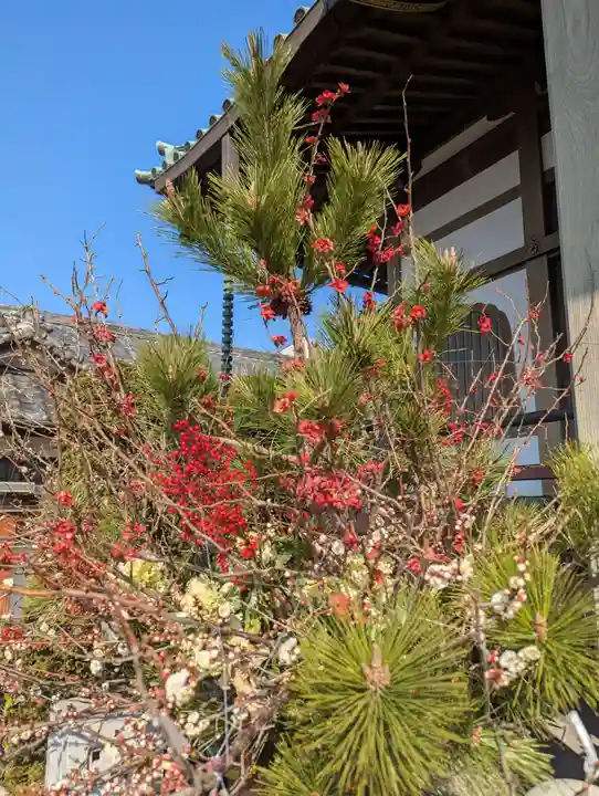 正法院(神奈川県)