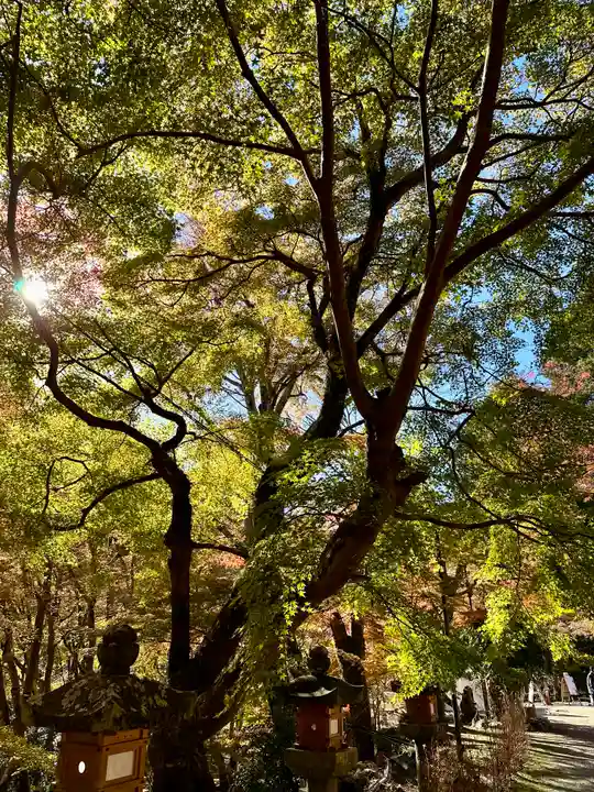 談山神社(奈良県)