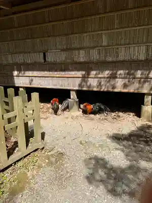 天岩戸神社(宮崎県)