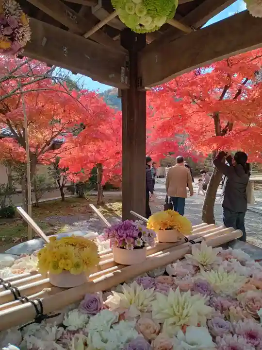 光明寺(粟生光明寺)(京都府)