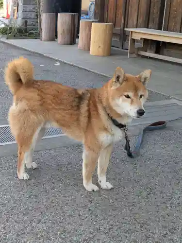 感通寺(東京都)