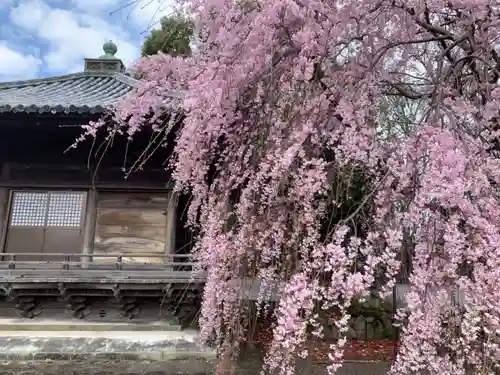 道成寺の庭園