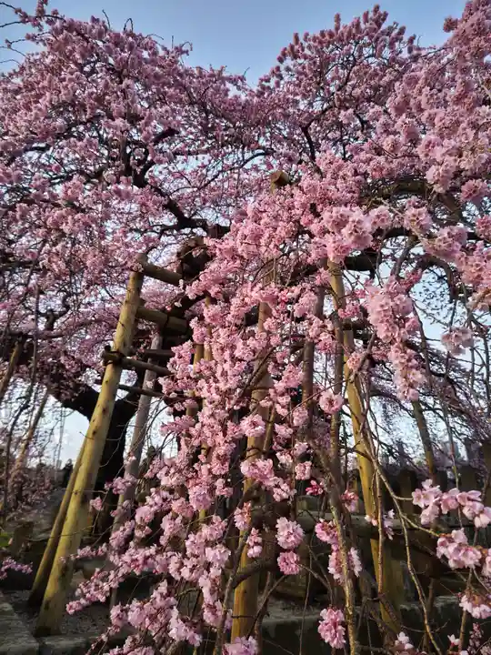 日輪寺(福島県)