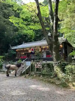 吉川八幡神社の本殿・本堂