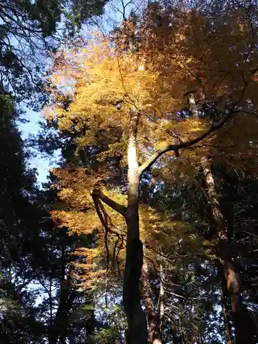 武田八幡宮(山梨県)