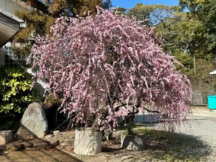 和泉國一之宮 大鳥大社(大阪府)