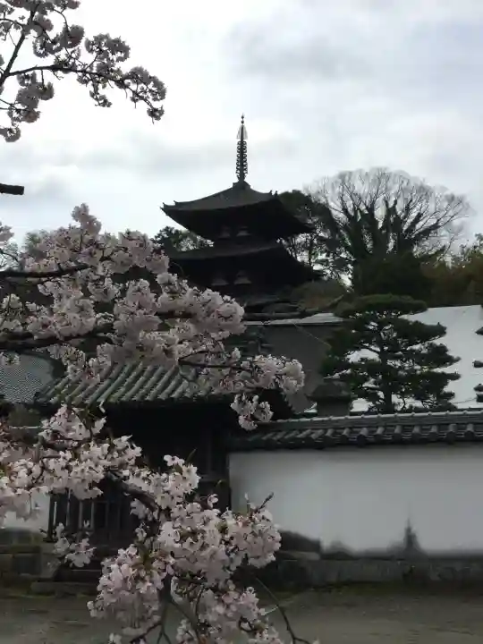 當麻寺(奈良県)