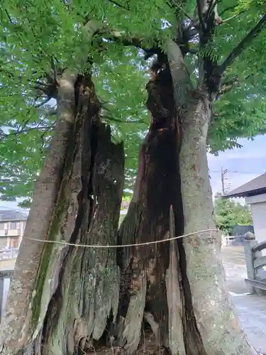 真田神社(神奈川県)