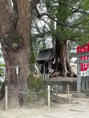 諏訪神社(東京都)