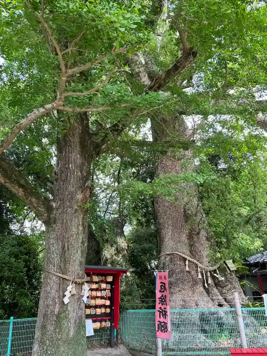七狩長田貫神社の自然