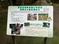 南方神社の{uncategorized: "未分類", other: "その他", undefined: "問題あり", building: "その他建物", grave: "お墓", sacred_gate: "鳥居", guardian: "狛犬", statue: "像", buddha: "仏像", history: "歴史", nature: "自然", garden: "庭園", animal: "動物", pagoda: "塔", temizu: "手水舎", mountain_gate: "山門・神門", sanctuary: "本殿・本堂", subordinate: "末社・摂社", art: "芸術", scenery: "景色", jizo: "地蔵", ema: "絵馬", goshuin: "御朱印", omikuji: "おみくじ", items: "授与品その他", amulet: "お守り", goshuincho: "御朱印帳", eats: "食事", festival: "お祭り", votive_dance: "神楽", shichigosan: "七五三参", wedding: "結婚式", experience: "体験その他", initially: "初詣", around: "周辺", anti_infection: "感染症対策"}