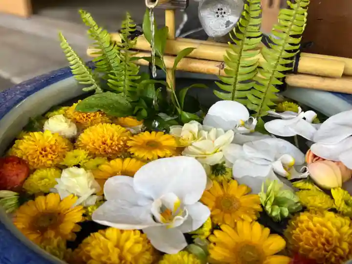 多賀神社の手水舎