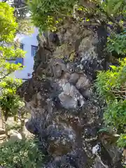 八幡八雲神社(東京都)