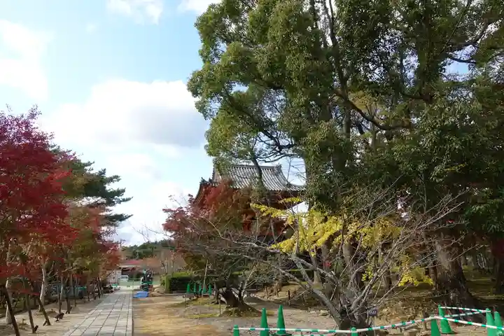 仁和寺のその他建物