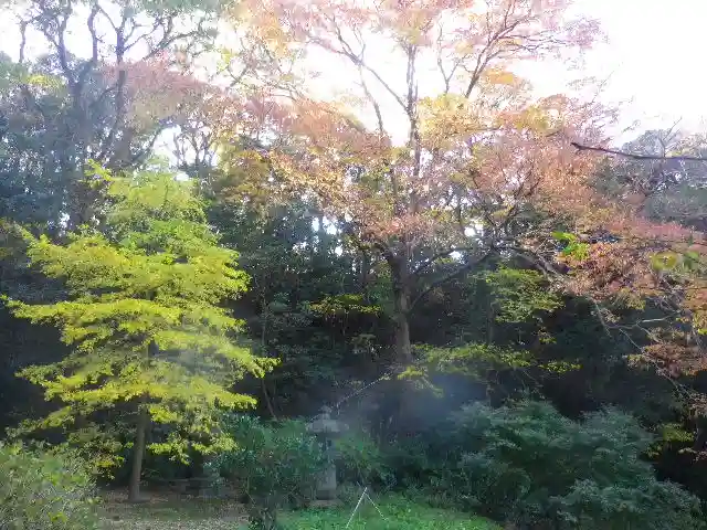 安國論寺(安国論寺)の自然