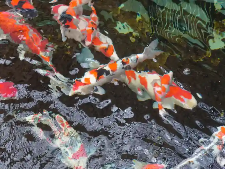 感通寺(東京都)