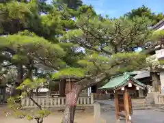 岩屋神社の自然