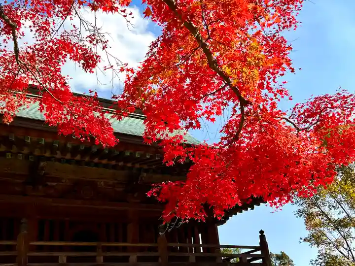 大山寺(徳島県)