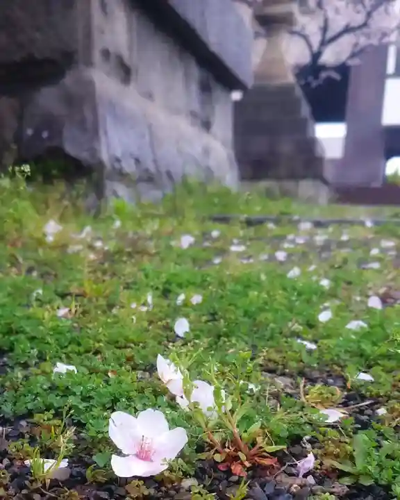 尾張大國霊神社(国府宮)(愛知県)
