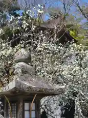 石山寺(滋賀県)