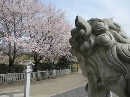 加波山神社真壁拝殿の狛犬