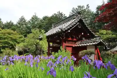 延算寺(岐阜県)