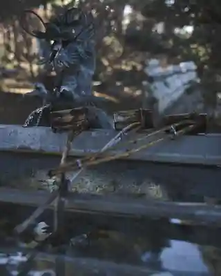 延命寺(身代り不動尊)(栃木県)