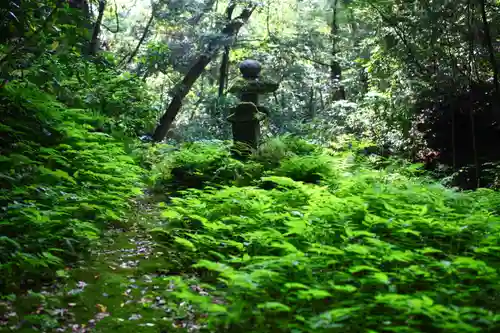 岩屋寺の自然