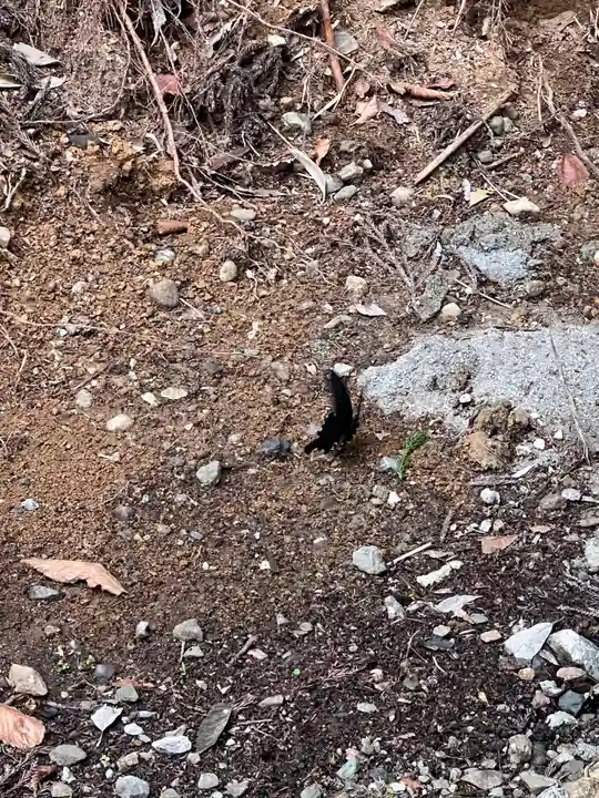 大宮温泉神社(栃木県)