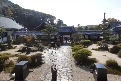 興聖寺（興聖寶林禅寺）(京都府)