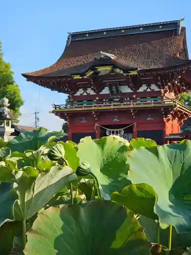 伊賀八幡宮(愛知県)