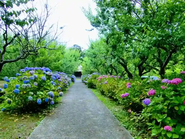 石堂寺のその他建物