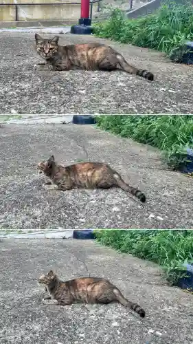 入舟稲荷神社(北海道)