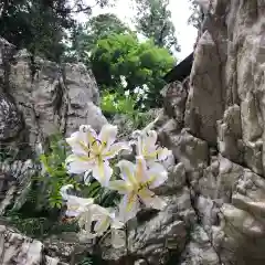 鹿島大神宮の自然