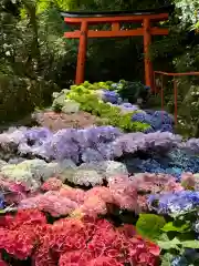 柳谷観音　楊谷寺(京都府)