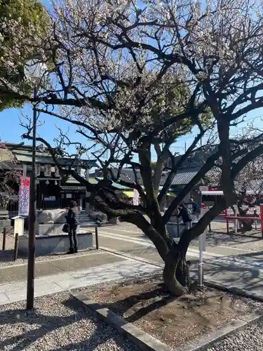 山田天満宮の庭園